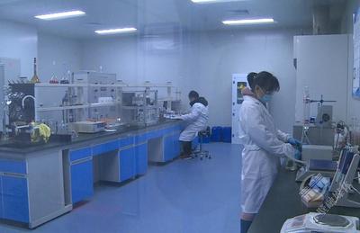 協(xié)商在一線(xiàn) | 市政協(xié)調(diào)研支持中小企業(yè)提升研發(fā)能力工作 技術(shù)服務(wù)與技術(shù)成果轉(zhuǎn)讓的協(xié)同路徑