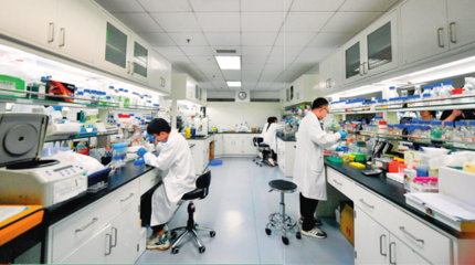 技術(shù)服務(wù)與技術(shù)成果轉(zhuǎn)讓 驅(qū)動(dòng)創(chuàng)新與商業(yè)化的雙引擎