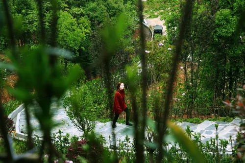 又近又美 寧鄉(xiāng)又添一個大公園 即將驚艷開園