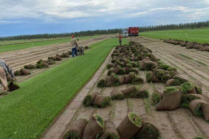 左權林木產品信息_左權企業產品分類信息_左權壹佰業