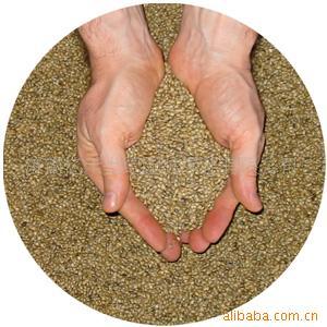 供應草坪花卉種子草種牧草水土保持植物種子林木種子