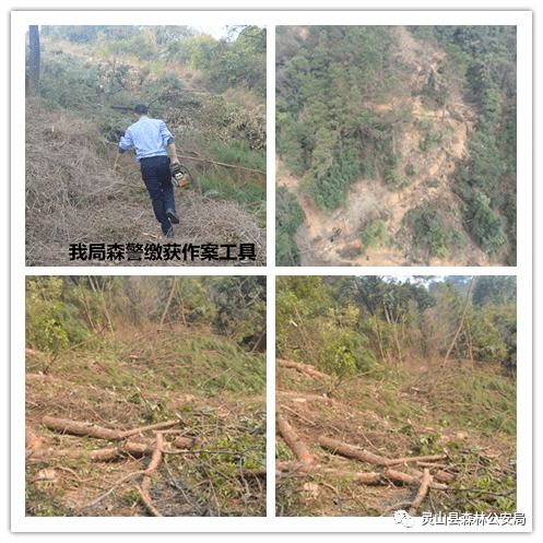 年后上班第一天,靈山這幾人全被刑拘