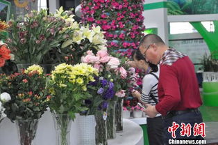 2017中國(guó) 東盟博覽會(huì)林木展開(kāi)幕