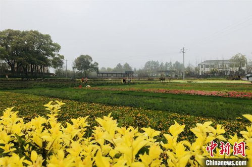 南昌培育都市休閑農(nóng)業(yè)精品 去年吸引1300余萬(wàn)人次到鄉(xiāng)村休閑度假鳳凰網(wǎng)江西 鳳凰網(wǎng)