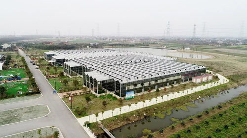 美 強烈推薦海門這5家