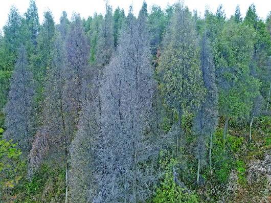 貴州臺江經開區(qū)回應 整改3年污染不減反增 相關企業(yè)停產