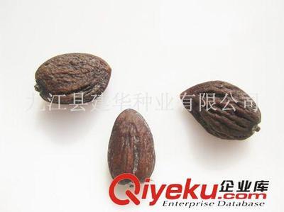 供應(yīng)木蘭科種子 觀光木 香花木香木楠、宿軸木蘭 園林綠化種子-九江縣建華種業(yè)提供供應(yīng)木蘭科種子 觀光木 香花木香木楠、宿軸木蘭 園林綠化種子的相關(guān)介紹、產(chǎn)品、服務(wù)、圖片、價(jià)格九江縣建華種業(yè)、林木種子;工程種子;園林綠化種子;花卉種子;珍稀樹種;紫玉蘭種子;羅漢松種子;黃山欒種子;小葉雞爪槭種子;桂花種子;濕地松種子;雪松種子;楠木種子;南方紅豆杉種子;櫸樹種子;杉木種子;皂角種子;楊梅種子;馬尾松種子;藍(lán)花楹種子