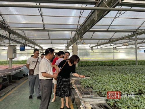 大學師生走進工廠,打通創(chuàng)意到產(chǎn)品的 最后一公里