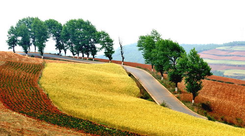 2018土地證過戶要什么手續