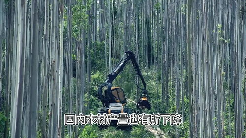 2021年廣西林木總產(chǎn)值破8000億元,gdp為2.4萬(wàn)億元