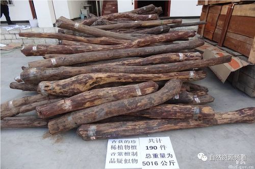 注意 這17種涉林案件,判刑