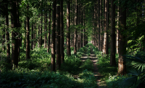 國有林場屬于什么單位