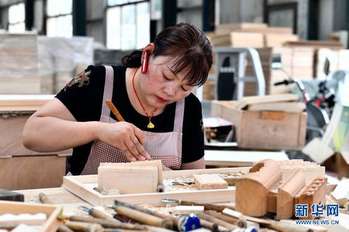 山東曹縣 林木撬動(dòng)大產(chǎn)業(yè)