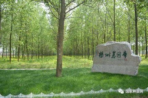 山東省林木種質資源中心獲批博士后科研工作站