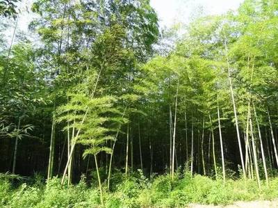 小長假最全馬鞍山出游攻略,爬山、溫泉、公園&hellip;想怎么嗨就怎么嗨!