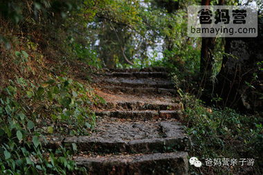 788元一家三口,住西湖畔精品設(shè)計(jì)別墅,含無(wú)敵賞桂山景 營(yíng)養(yǎng)早餐 創(chuàng)意正餐 下午茶