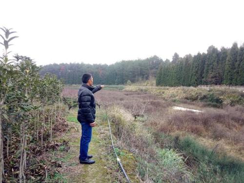 貴州福泉開(kāi)展苗木生產(chǎn)自查