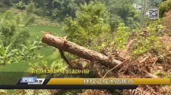上杭一起村民林木采伐事件,引發(fā)對(duì)17年前承包合同的質(zhì)疑