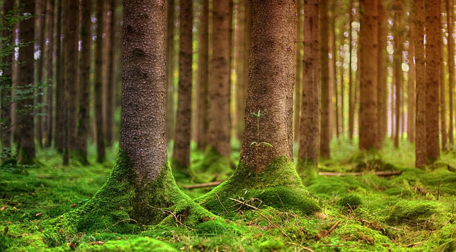 綠色(家具,建材,快遞包裝)產品認證