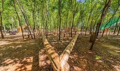 關于科學利用林地資源促進木本糧油和林下經濟高質量發展的意見 林草生態匯