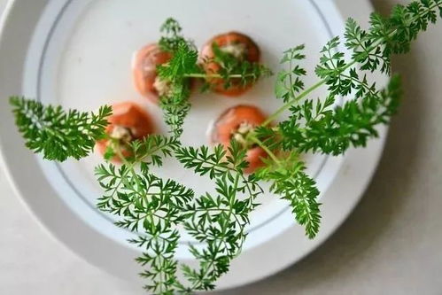 冬日蔬菜巧變盆栽，點綴居室添生機